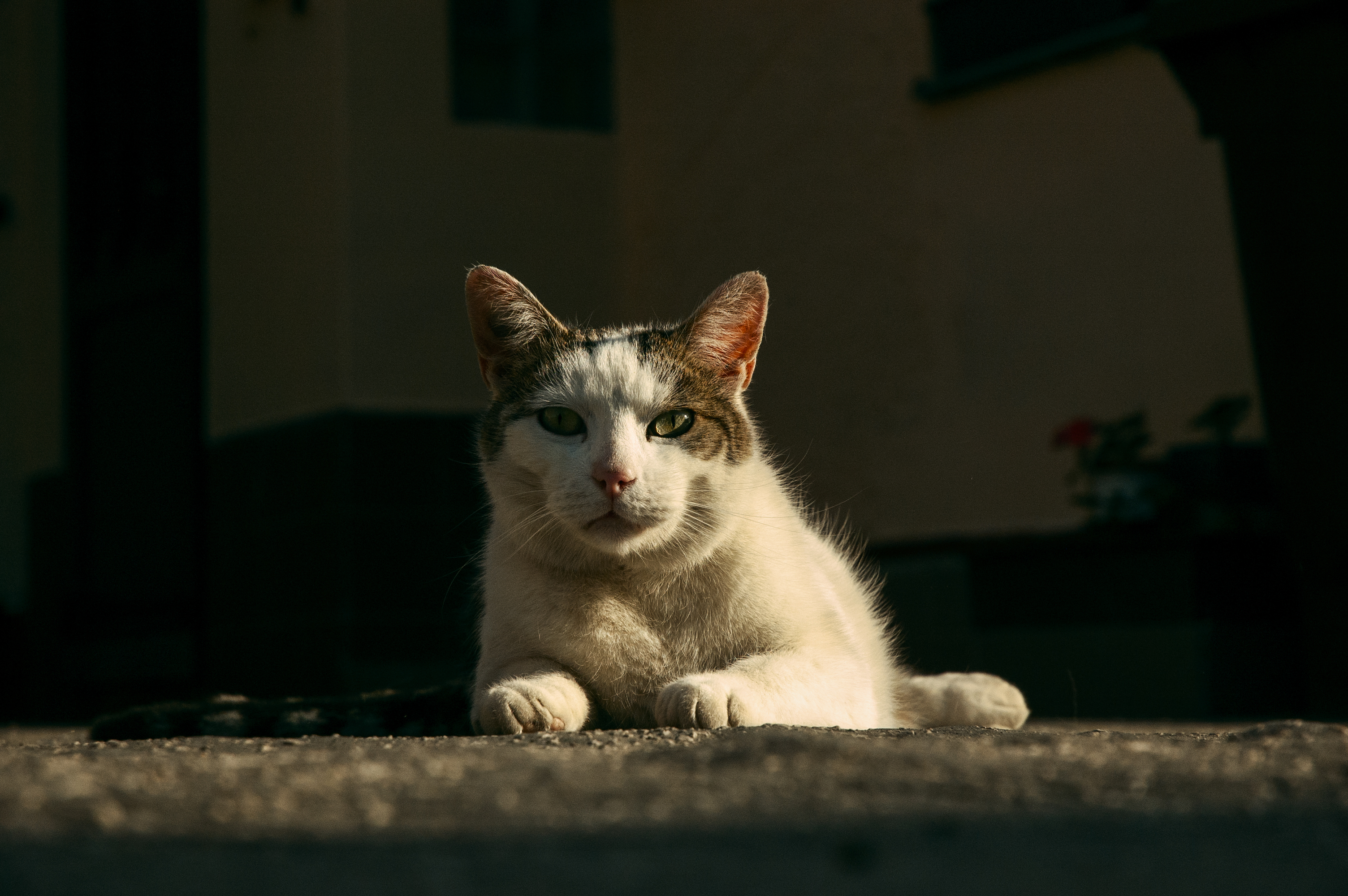Foto-tvorba 18